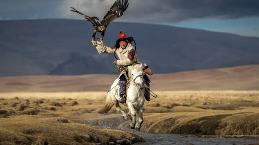 Elang botak di Chilkat Bald Eagle Preserve Alaska bersaing untuk hinggap di batang pohon. (Dok: Karthik Subramaniam)