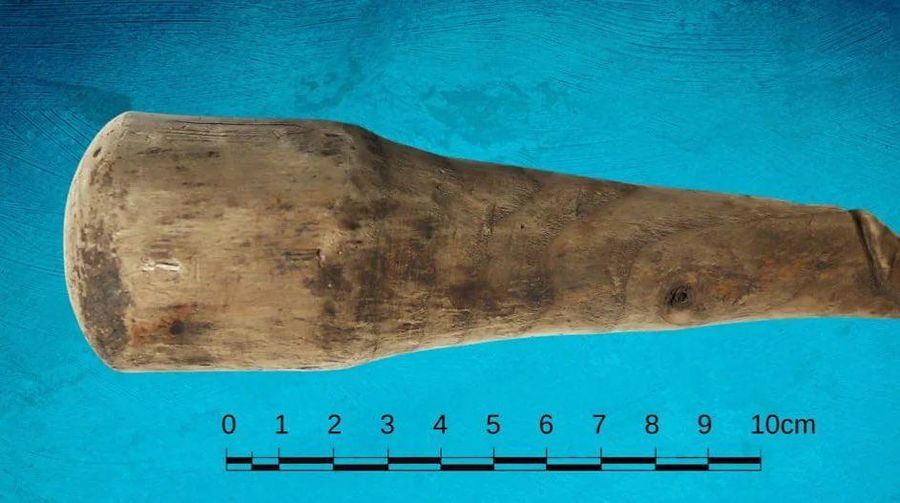 Benda kayu yang ditemukan di benteng Romawi di Tembok Hadrian di Inggris mungkin adalah mainan seks abad ke-2. (Instagram @officialvindolandatrust)