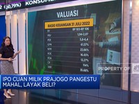 Calon Emiten Milik Prajogo Pangestu Bersiap IPO, Layak Beli?