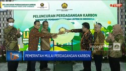 Video: Pemerintah Mulai Perdagangan Karbon