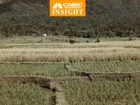 Sejarah Migas: Ada Warisan Petani Jawa di Kontrak Migas RI