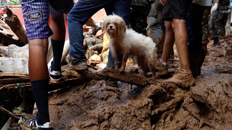 Hujan lebat yang mengguyur wilayah negara bagian Sao Paulo, Brasil, memicu banjir dan tanah longsor. Akibatnya puluhan rumah rusak tertimbun longsor. (REUTERS/AMANDA PEROBELLI)