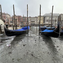 Momen Langka! Kanal Venesia Surut, Italia Dilanda Kekeringan