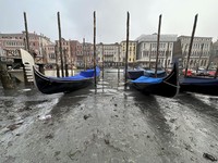Momen Langka! Kanal Venesia Surut, Italia Dilanda Kekeringan