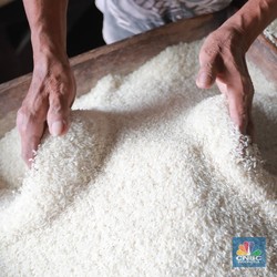 'Kiamat' Beras India Diklaim Tak Ngefek ke RI, Ini Alasannya