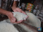 Orang Kaya Mulai Terusik, Harga Beras Premium Nyaris Rp1 Juta