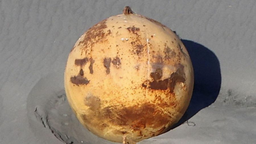 Sebuah bola terlihat di pantai di Hamamatsu, Jepang 22 Februari 2023 dalam gambar diam yang diperoleh dari media sosial (via REUTERS)