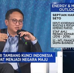 2 Industri Ini Pegang Kunci Hilirisasi Timah, Apa Saja?