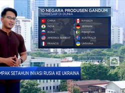 Dampak Setahun Invasi Rusia ke Ukraina