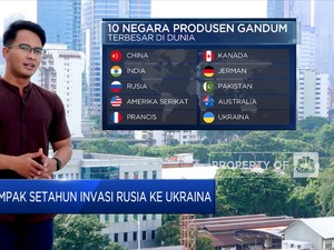 Dampak Setahun Invasi Rusia ke Ukraina
