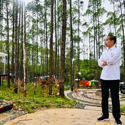 Proyek IKN Diragukan Sukses, Respons Jokowi Wow Banget!