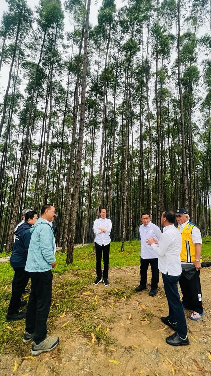 Cuaca sejuk pagi hari Ibu Kota Nusantara (IKN) mengawali hari ketiga kunjungan kerja Presiden Joko Widodo dan Ibu Iriana Joko Widodo di Provinsi Kalimantan Timur, pada Jumat, 24 Februari 2023. (Dok: Biro Pers)