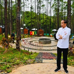 Jokowi: Proyek Terbesar di Dunia Hanya 1, Namanya IKN