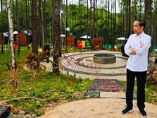 Ada yang Ragu IKN Jadi? Jokowi Sudah Kontrak Proyek Rp 24 T