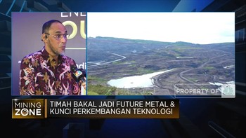 Hilirisasi Modal RI Jadi Negara Maju, PT Timah Siap Ekspansi