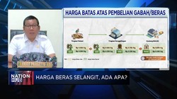 Pemerintah Naikkan Harga Gabah Jelang Panen Raya, Kenapa?
