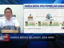Pemerintah Naikkan Harga Gabah Jelang Panen Raya, Kenapa?