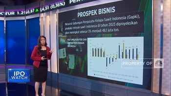 Perusahaan Sawit NSSS Mau IPO Tapi Valuasi Mahal, Layak Beli?