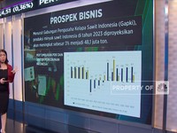 Perusahaan Sawit NSSS Mau IPO Tapi Valuasi Mahal, Layak Beli?