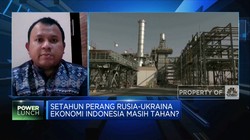 Setahun Berlalu, RI Masih Kuat Hadapi Efek Perang Rusia?