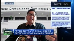 Setahun Perang Rusia-Ukraina, Pemerintah RI Khawatirkan Ini!