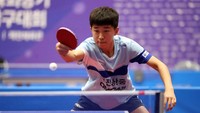 Turnamen Ping Pong 17 Agustus di Komplek? Meja Lipat Ini Gampang Bongkar Pasang