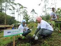 Tebarkan Social Values, Ini Sederet Capaian BRI