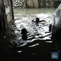Waspada Jakarta Diguyur Hujan Lebat-Angin Kencang, Ini Jadwalnya
