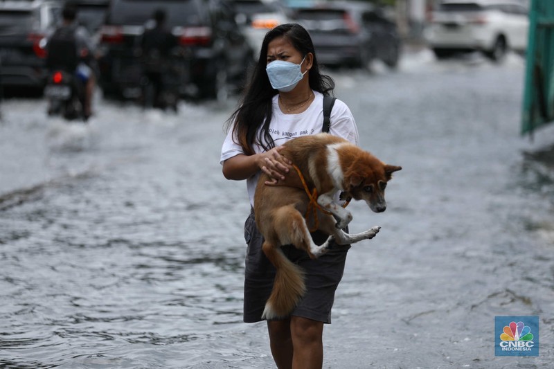 Warga menyelamatkan hewan peliharaannya untuk melewati genangan banjir di Kawasan Green Garden, Jakarta, Senin (27/2/2023). Warga menyelamatkan hewan peliharaannya untuk melewati genangan banjir di Kawasan Green Garden, Jakarta, Senin (27/2/2023). (CNBC Indonesia/Tri Susilo)