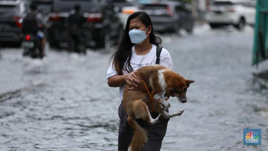 Warga menyelamatkan hewan peliharaannya untuk melewati genangan banjir di Kawasan Green Garden, Jakarta, Senin (27/2/2023). (CNBC Indonesia/Tri Susilo)
