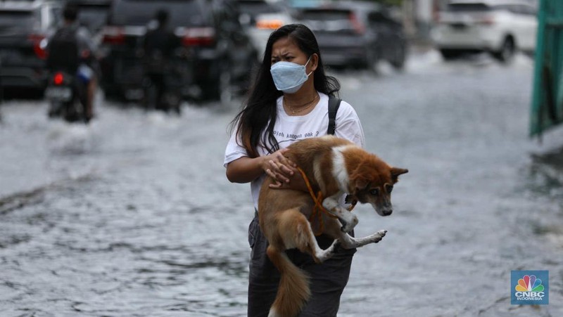 Warga menyelamatkan hewan peliharaannya untuk melewati genangan banjir di Kawasan Green Garden, Jakarta, Senin (27/2/2023). (CNBC Indonesia/Tri Susilo)
