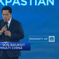 Erick Thohir: 90% Bauksit Indonesia Diminati China