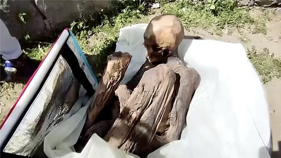 Sebuah mumi dibawa oleh sopir pengiriman di dalam tas pendingin di Peru. (Tangkapan Layar Video Reuters/JAVIER ZUNIGA – NOTICIAS SIN FILTRO PUNO TV)