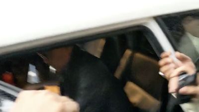 img-title