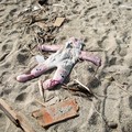Gaun seorang gadis kecil yang diduga tewas dalam tenggelamnya kapal migran tertinggal di antara puing-puing kapal di pantai tempat ditemukannya mayat kapal karam, termasuk banyak anak-anak. Di Steccato di Cutro, dekat Crotone, di Calabria, Italia sel