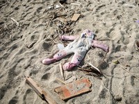Gaun seorang gadis kecil yang diduga tewas dalam tenggelamnya kapal migran tertinggal di antara puing-puing kapal di pantai tempat ditemukannya mayat kapal karam, termasuk banyak anak-anak. Di Steccato di Cutro, dekat Crotone, di Calabria, Italia sel