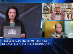Video: Musim Panen Sambut Ramadan, Harga Beras Bakal Turun?