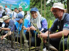 Dukung Target NZE 2060, WIKA Siap Tanam 6300 Bibit Pohon