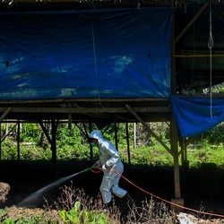 Wabah Mematikan Serang Tetangga RI, Sudah Tewaskan 4 Orang
