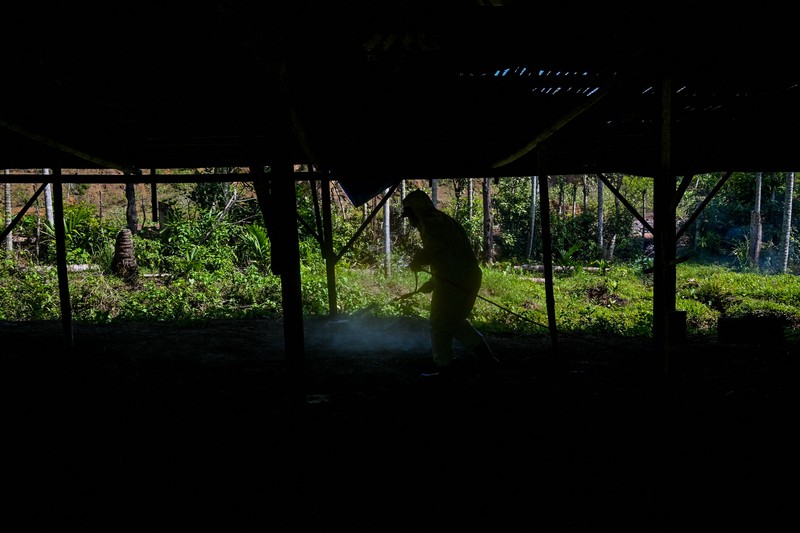 1247605615 A government worker examines chicks for signs of bird flu infection at a poultry farm in Darul Imarah in Indonesia's Aceh province on March 2, 2023. (Photo by CHAIDEER MAHYUDDIN / AFP) (Photo by CHAIDEER MAHYUDDIN/AFP via Getty Images)
