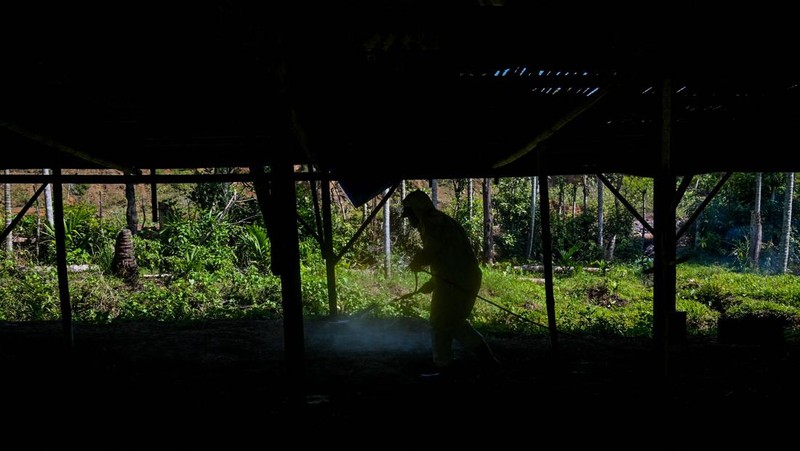 A government worker examines chicks for signs of bird flu infection at a poultry farm in Darul Imarah in Indonesia's Aceh province on March 2, 2023. (Photo by CHAIDEER MAHYUDDIN / AFP) (Photo by CHAIDEER MAHYUDDIN/AFP via Getty Images)