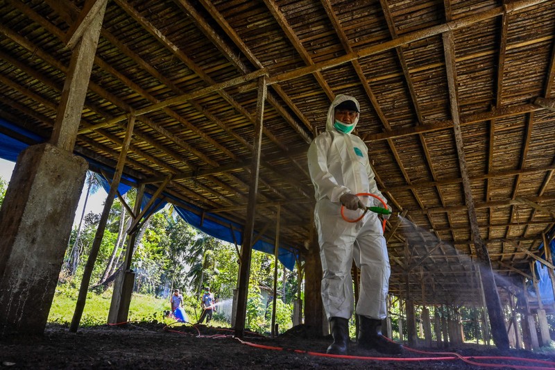 1247605615 A government worker examines chicks for signs of bird flu infection at a poultry farm in Darul Imarah in Indonesia's Aceh province on March 2, 2023. (Photo by CHAIDEER MAHYUDDIN / AFP) (Photo by CHAIDEER MAHYUDDIN/AFP via Getty Images)