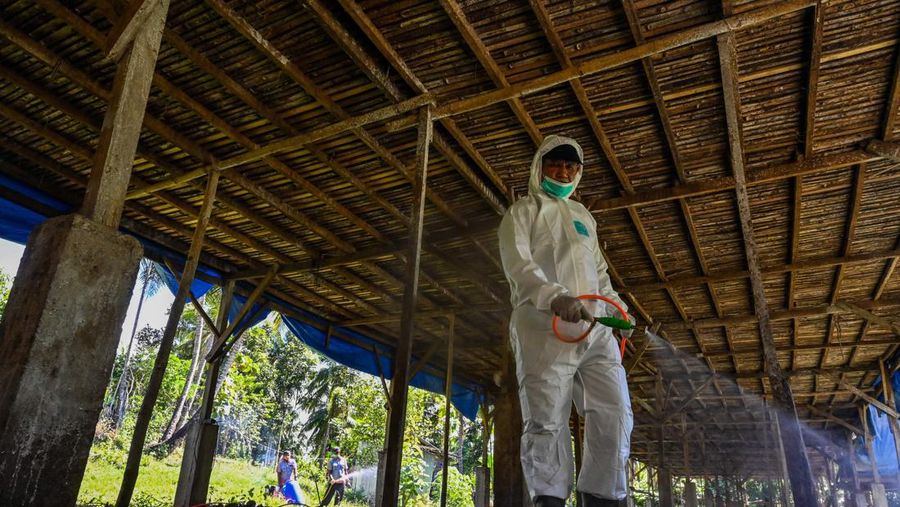 A government worker examines chicks for signs of bird flu infection at a poultry farm in Darul Imarah in Indonesia's Aceh province on March 2, 2023. (Photo by CHAIDEER MAHYUDDIN / AFP) (Photo by CHAIDEER MAHYUDDIN/AFP via Getty Images)