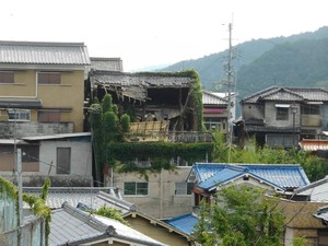 Ada Fenomena Akiya di Jepang, Apa Itu? Ini Penjelasannya