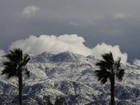 Potret Malapetaka di AS, California Membeku & Gelap Gulita