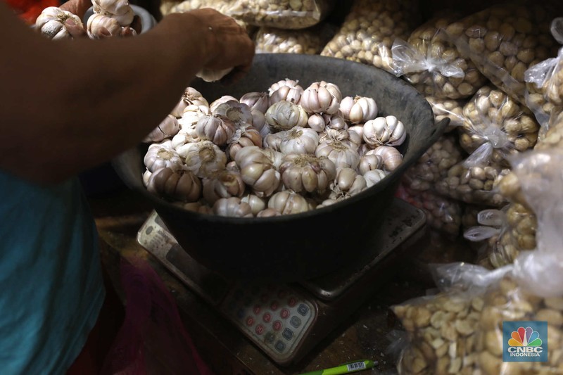 Bawang Putih (CNBC Indonesia/Tri Susilo)