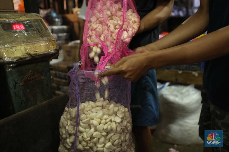 Bawang Putih (CNBC Indonesia/Tri Susilo) Bawang Putih (CNBC Indonesia/Tri Susilo)