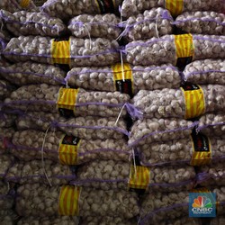 Ombudsman RI Dukung Kuota Impor Bawang Putih Dihapus, Ini Alasannya