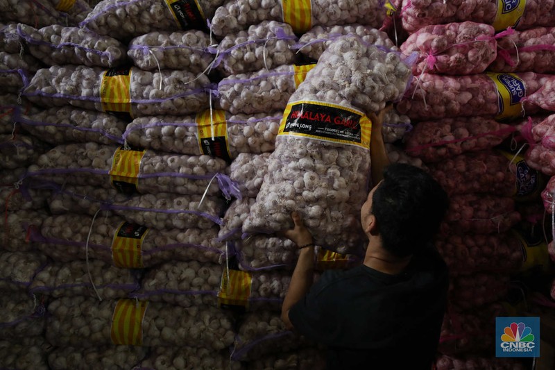 Bawang Putih (CNBC Indonesia/Tri Susilo)