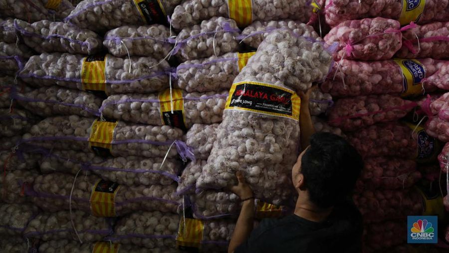 Bawang Putih (CNBC Indonesia/Tri Susilo)